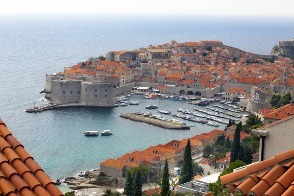 Dubrovnik Old Town on — Stock Photo, Image