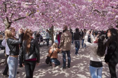  İnsanlar çiçek bahçesinde yürüyor, Kungstradgarden, Stockholm, İsveç