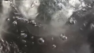 Sıcak sigara içilen Istakoz, yakın çekim.