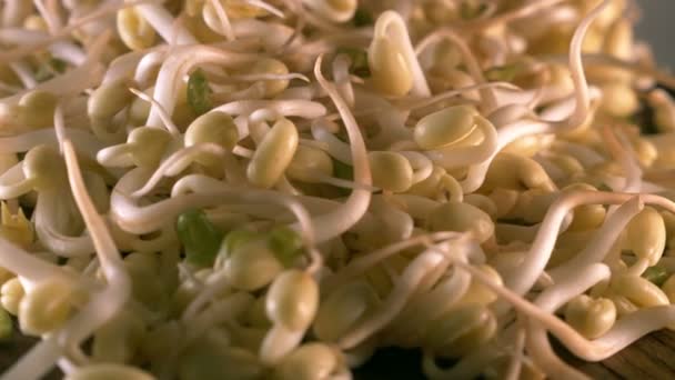 Bio Mungbohnensprossen Aus Nächster Nähe Für Lebensmittel — Stockvideo