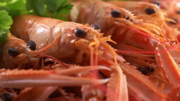 新鲜海鲜大虾鱼 — 图库视频影像