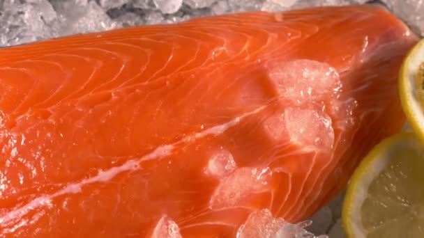 Close Fresh Salmon Lemon — Stock Video