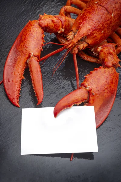 Lobster claw holding a blank card sign — ストック写真