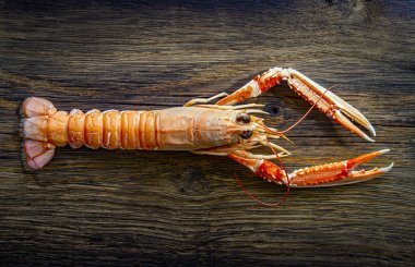 Taze deniz ürünleri, kocaman karides balıkları.