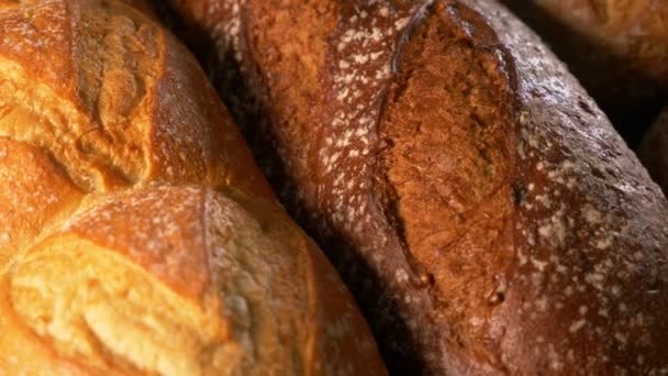 Assortments Bread Freshly Baked — Stock Video