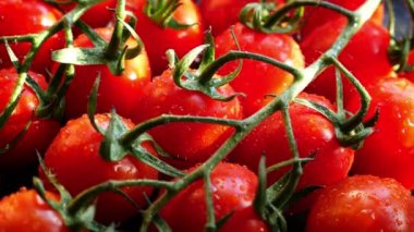 Pişirme malzemesi olarak kullanmak için taze kırmızı olgun domates.