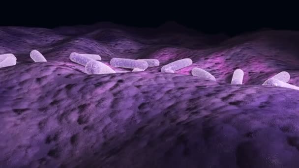 Animation 3D microscopique de bactéries sur une surface, vidéo en boucle à 360 degrés 
