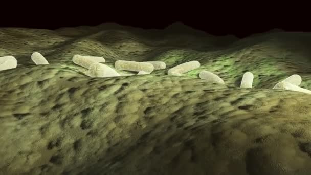 Animation 3D microscopique de bactéries sur une surface, vidéo en boucle à 360 degrés  