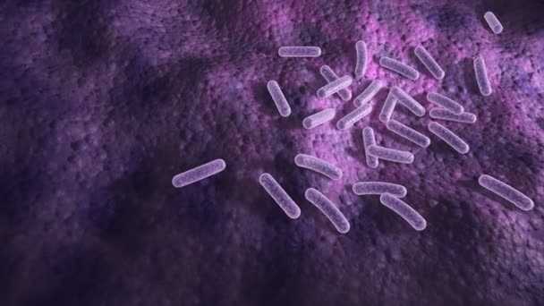 Animation 3D microscopique de bactéries sur une surface avec caméra zoomant aléatoirement 