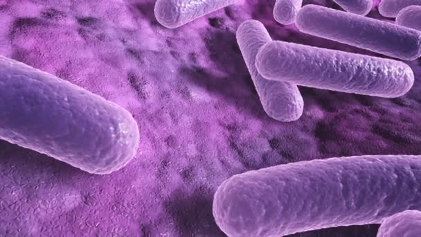 Bacterias Una Superficie Animación Microscópica Primer Plano — Vídeos de Stock