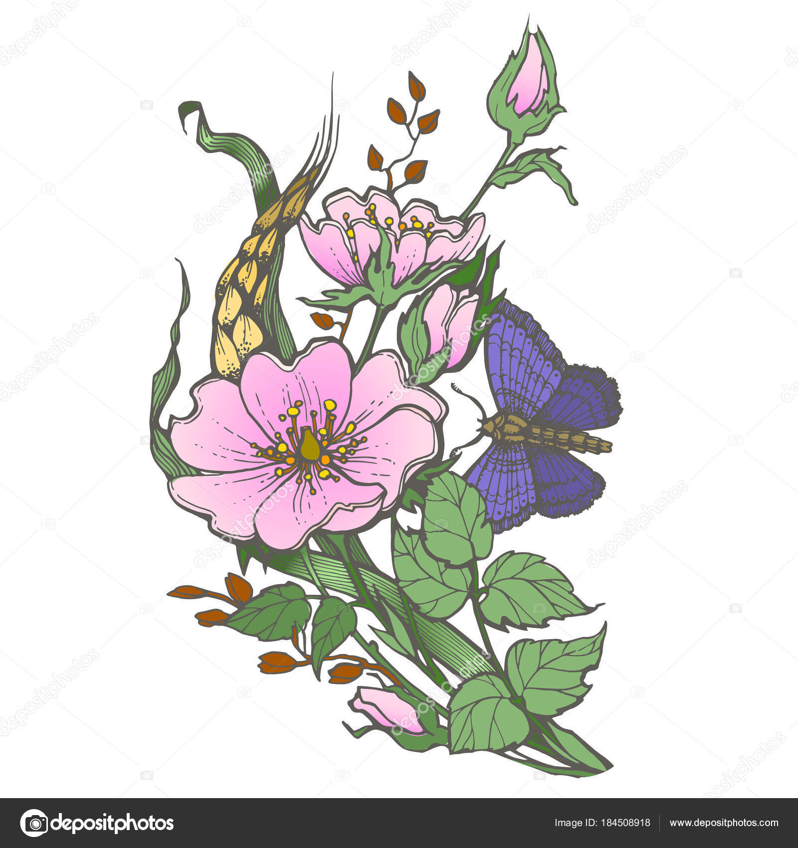 Wilder Hund Rose Blumen mit Schmetterling Zeichnung Vektor Cliparts auf