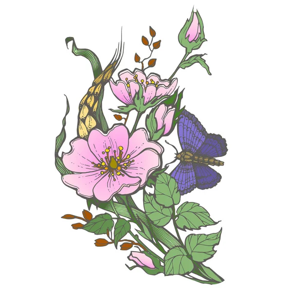 Wild dog rosa flores con mariposa dibujo vector clipart sobre fondo blanco . — Vector de stock