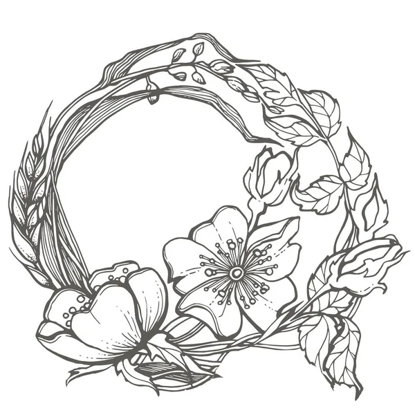 Wilde hond rose bloemen frame tekening vector clipart op witte achtergrond. — Stockvector