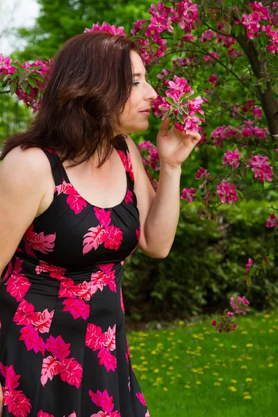 Huele a flor de cerezo. — Foto de Stock