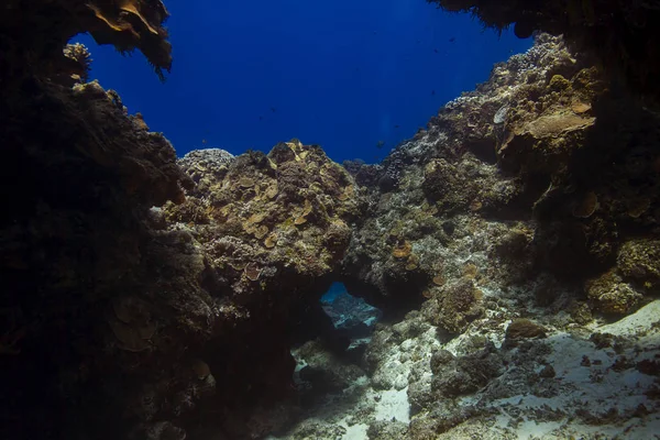 Otwór, przez rafa koralowa — Zdjęcie stockowe