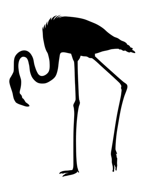 Vektorové ilustrace Flamingo — Stockový vektor