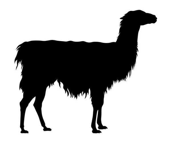 Ilustración vectorial de una llama — Archivo Imágenes Vectoriales