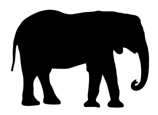 Vector illustratie van een olifant — Stockvector