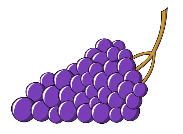 Ilustração vetorial das uvas — Vetor de Stock