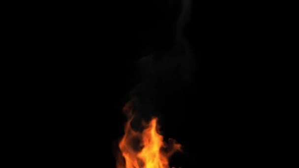 Brandend vuur op zwarte achtergrond — Stockvideo