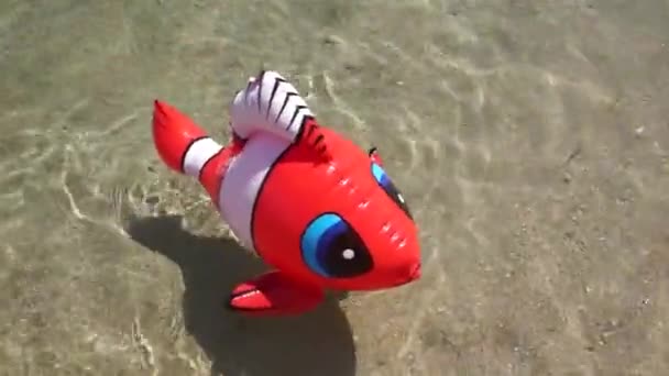Uppblåsbar leksak clown-fisk — Stockvideo