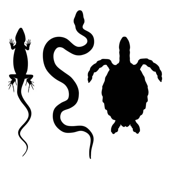 Vektorillustration av reptiler — Stock vektor