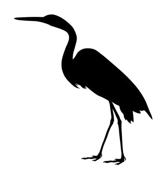 Great egret silhouette — Stock Vector