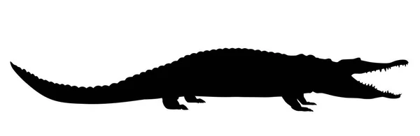 Ilustração vetorial de crocodilo — Vetor de Stock