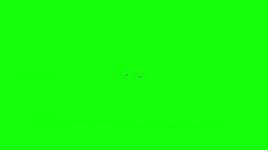 Jet avcı yeşil ekran üzerinde