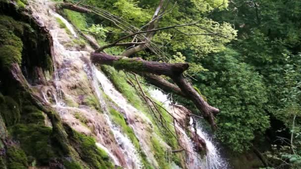 Cascadas de Krushuna cascada — Vídeos de Stock