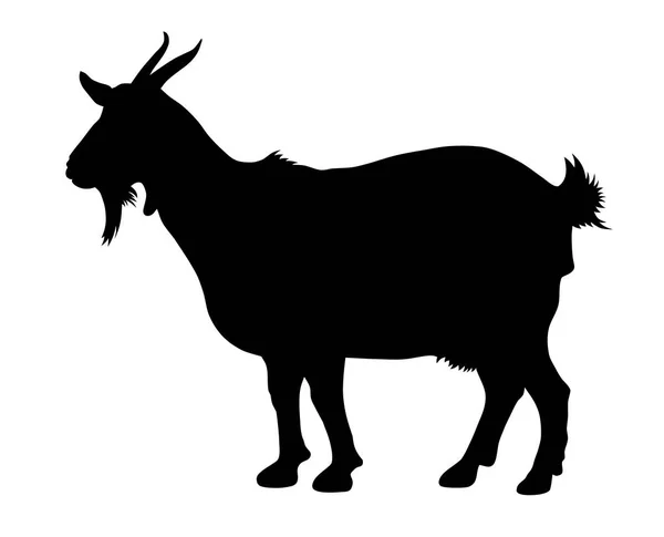 Koza — Wektor stockowy