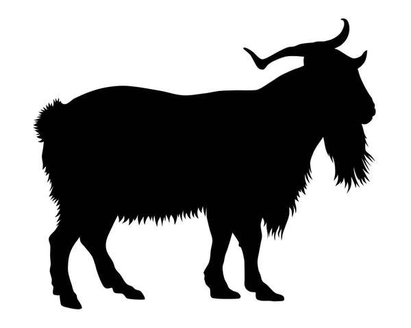 Goat — Stock Vector