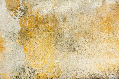 Terk edilmiş duvar doku