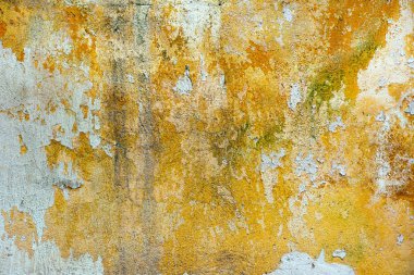 Terk edilmiş duvar doku