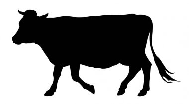 İnek
