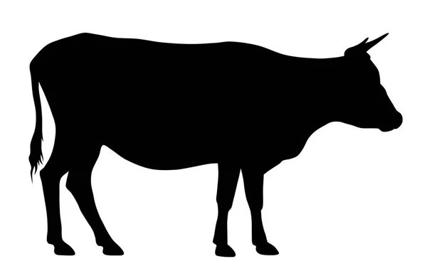 Vaca — Vetor de Stock
