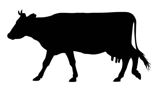 Αγελάδα — Διανυσματικό Αρχείο
