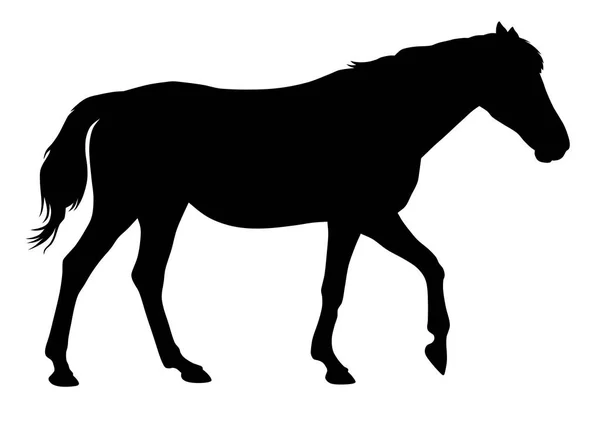 Cheval — Image vectorielle