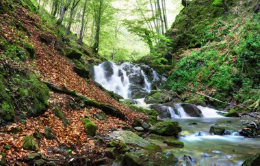 Dağ nehir kenarında Teteven kasaba, koca Balkan Dağları, Bulgaristan
