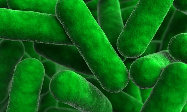 細菌の細胞の レンダリング — ストック写真