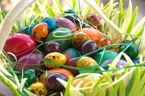Multicolored painted Easter eggs in hand basket