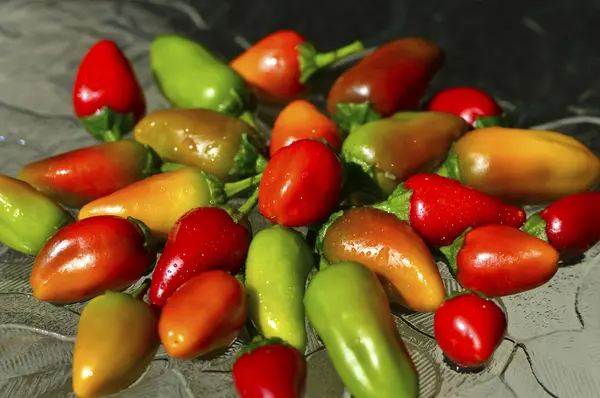 Fresno chilli papričky — Stock fotografie