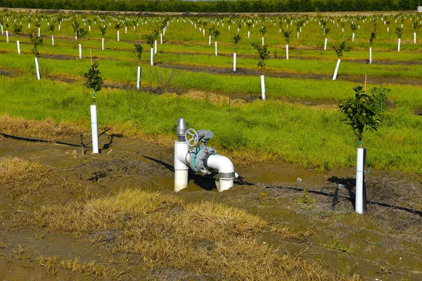 Vattenledning på fältet — Stockfoto