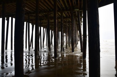 Pismo beach iskelesinden