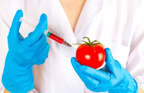 Genetic Modifications of this Vegetable chemistry in vegetables Injects Tomato with a Syringe