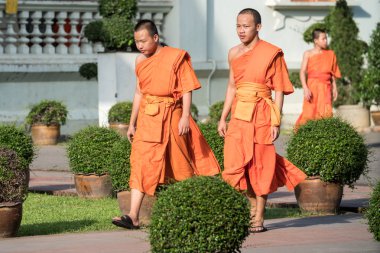 Budist rahipler at Wat Prasing, Chiang Mai, Tayland