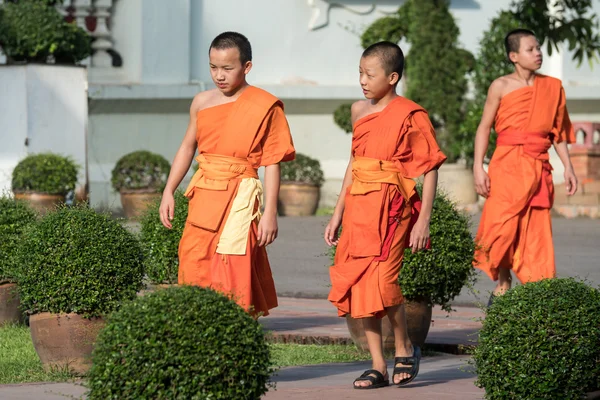 Monjes budistas en Wat Prasing, Chiang Mai, Tailandia —  Fotos de Stock