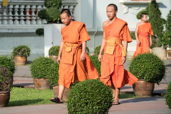 Monjes budistas en Wat Prasing, Chiang Mai, Tailandia —  Fotos de Stock