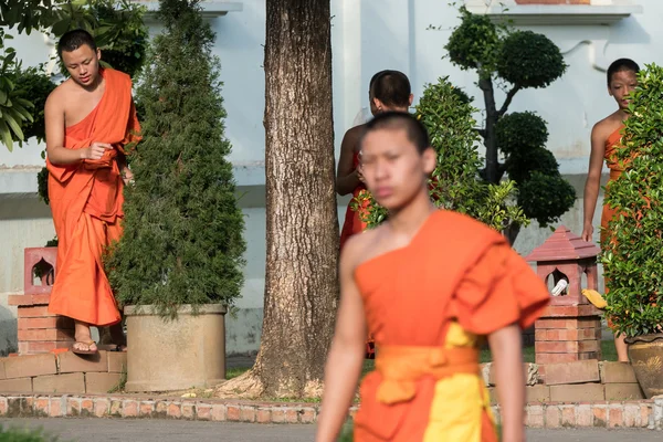 Monaci buddisti a Wat Prasing, Chiang Mai, Thailandia — Foto Stock