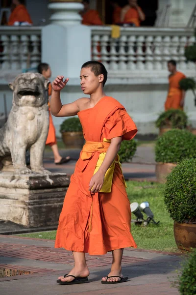 와트 Prasing, 치앙마이, 태국에서 불교 승려 스톡 사진